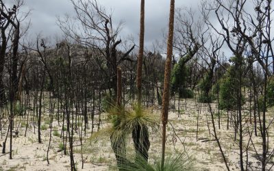The Cost of Resilience